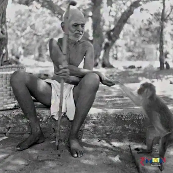 maharshi raman and monkey