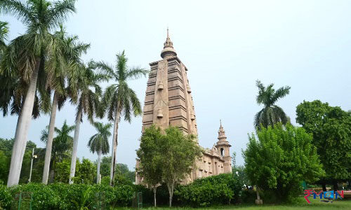 sarnath buddha temple
